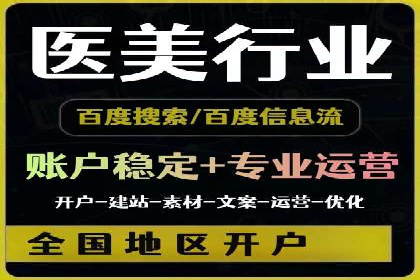 成功案例：sem竞价托管的智慧与策略